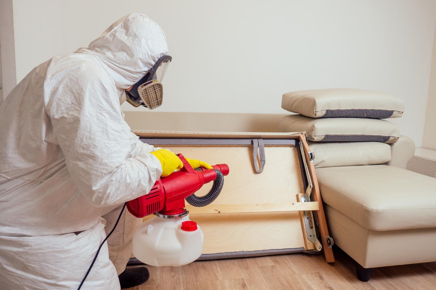 Pest Control Services: Your Trusted Partners in Pest Prevention and Eradication