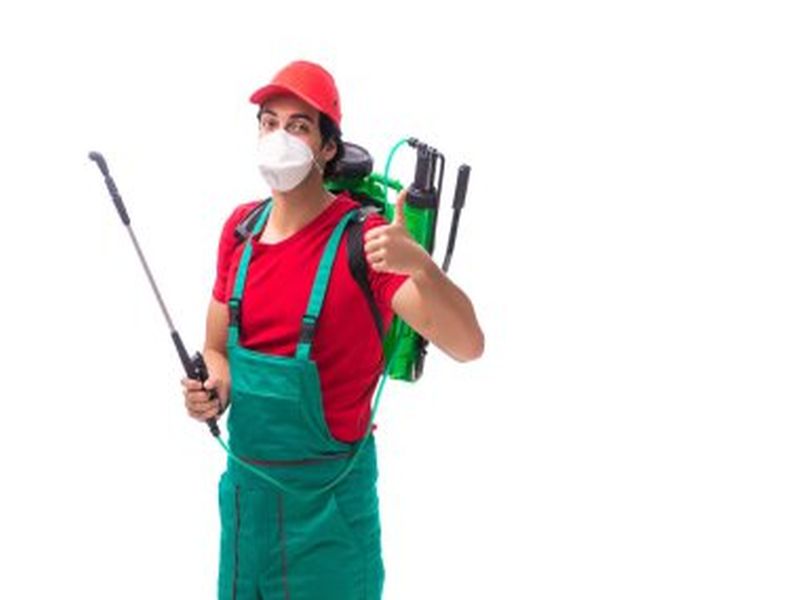 Sydney's Leading Pest Control Specialists