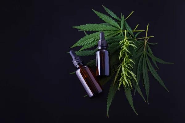 Understanding CBD Oil Benefits for Dog Anxiety in Canada: A Comprehensive Guide